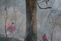 مهار ۹۵ درصدی آتش سوزی جنگل‌های الیت/ چرا بالگرد برای مهار آتش دیر اعزام شد؟