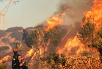 الیت در آتش؛ قلب سبز مازندران زیر شعله‌های بی‌رحم سوخت