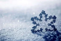   شایعه برف سنگین در پایتخت فروکش کرد