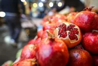 قیمت جدید میوه شب یلدا اعلام شد