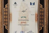 بیمه دی رتبه اول مؤسسات بیمه ای کشور شد