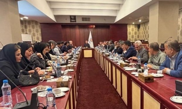تحول در بیمه ایران با تکیه بر شبکه نمایندگی