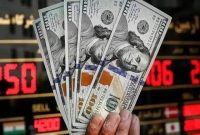  دلار در برزخ سیاسی؛ ایستگاه انتظار در مرز ۱۸۵ هزار تومان