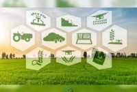 پوشش بیمه پایه فراگیر ۱۷ کالای اساسی از مهرماه
